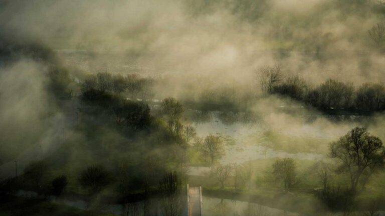 How To Bet Safely On Cricbet99?